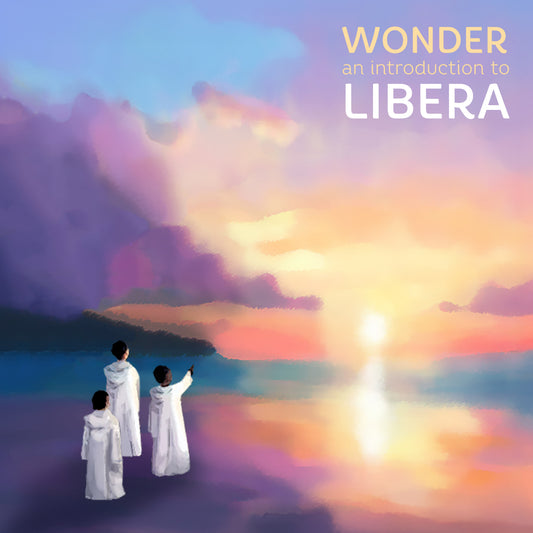 Wonder LP on Vinyl